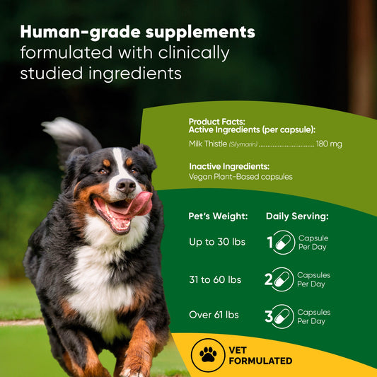 Dog running outdoors with supplement information on a green background