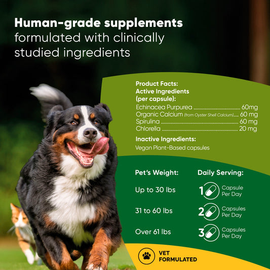 Dog running outdoors with supplement product facts on a green background