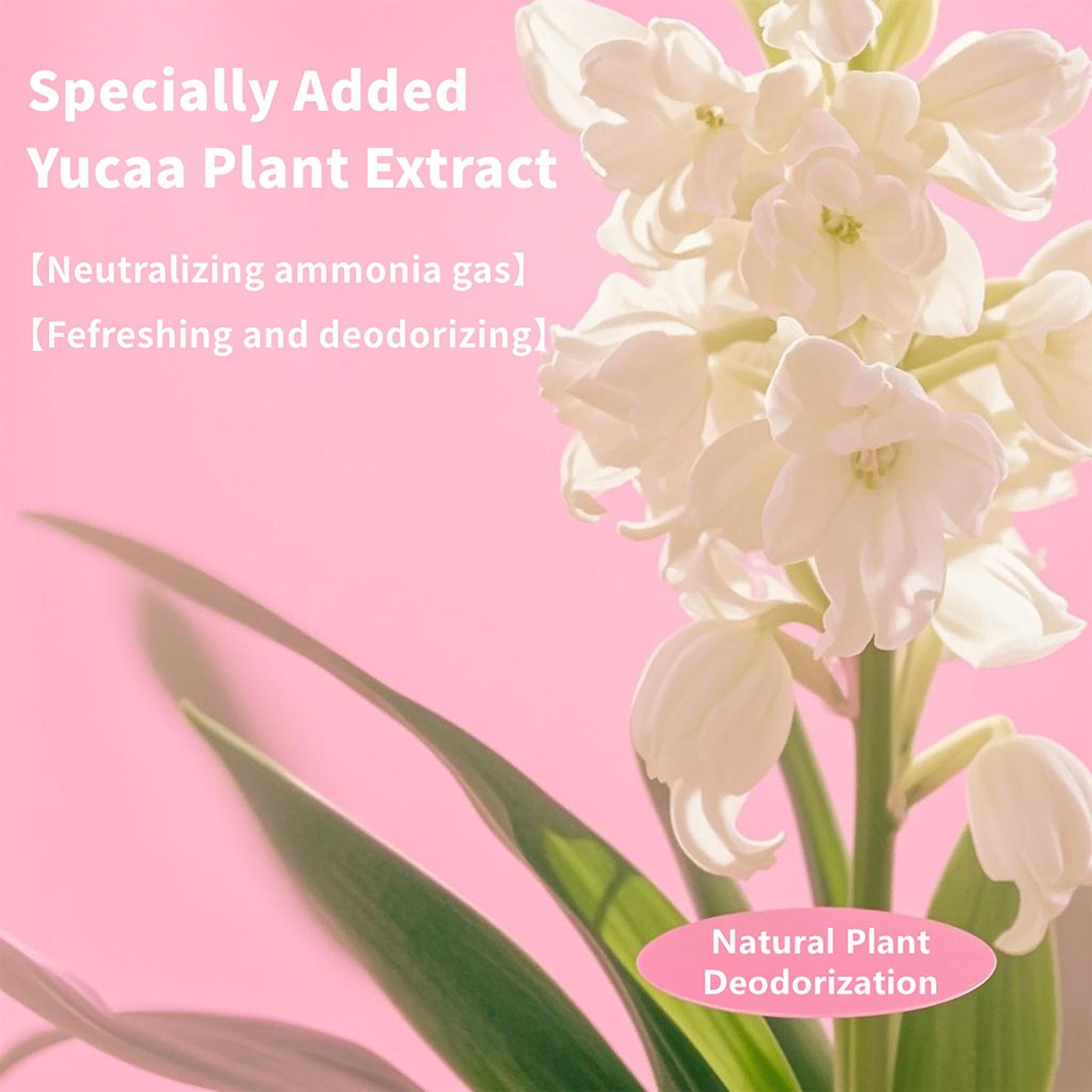 White flowers with green leaves on a pink background, featuring text about Yucaaa Plant Extract.
