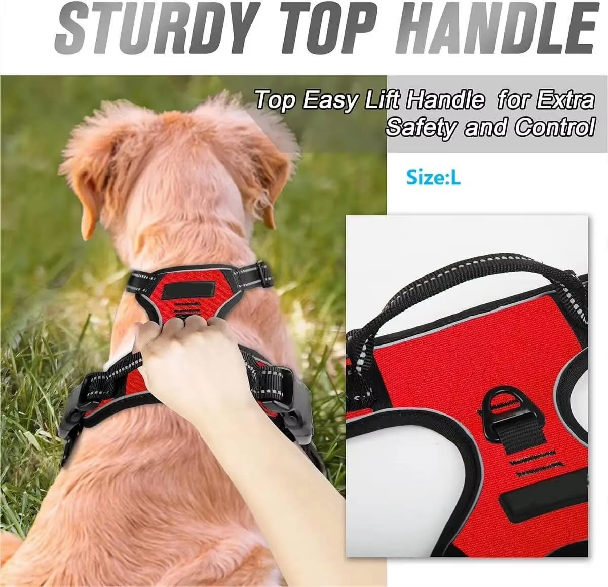Durable Dog Harness & Leash Set with Safety Buckle – All Sizes