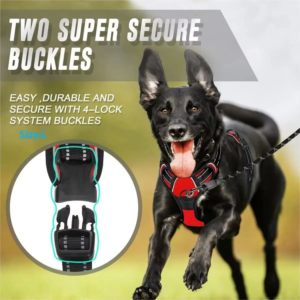 Durable Dog Harness & Leash Set with Safety Buckle – All Sizes