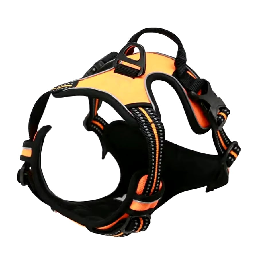 Durable Dog Harness & Leash Set with Safety Buckle – All Sizes