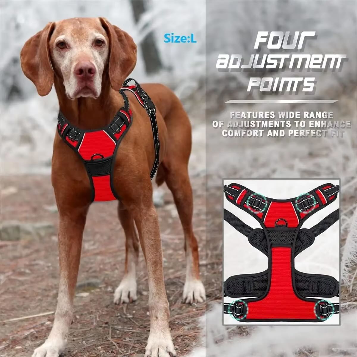 Durable Dog Harness & Leash Set with Safety Buckle – All Sizes