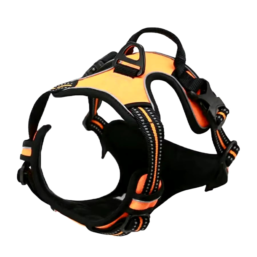 Durable Dog Harness & Leash Set with Safety Buckle – All Sizes