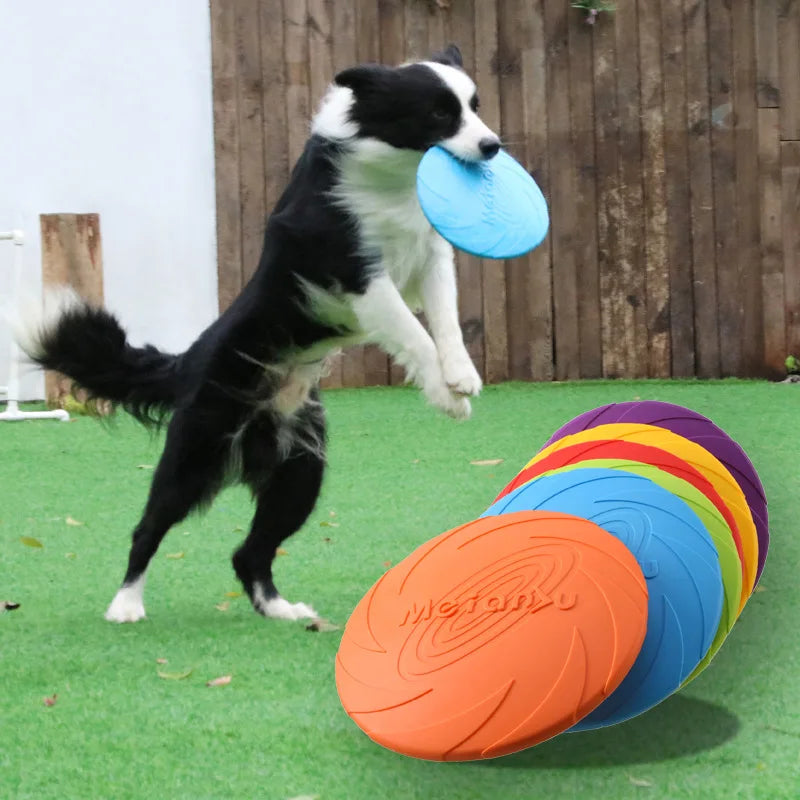 Bite Resistant Flying Disc Dog Toy – Outdoor Training & Play