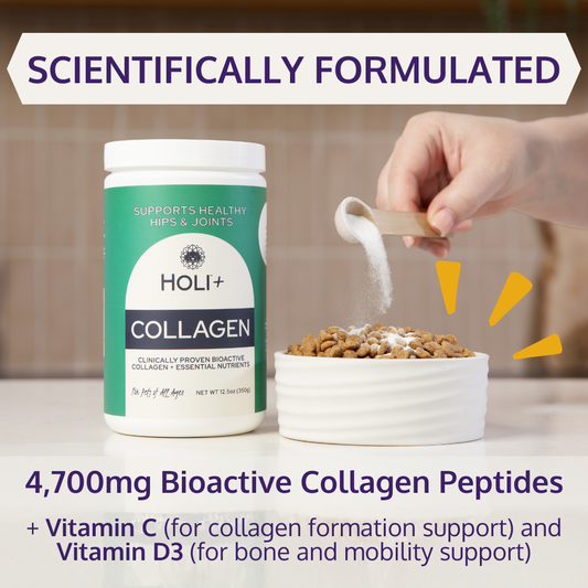 HOLI+ Collagen supplement bottle with a hand pouring powder into a bowl of dog food.