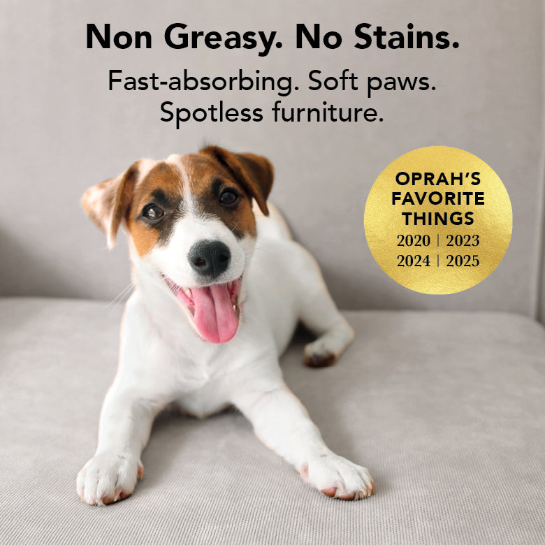 Dog lying on a couch with promotional text about a product's features and Oprah's Favorite Things label.