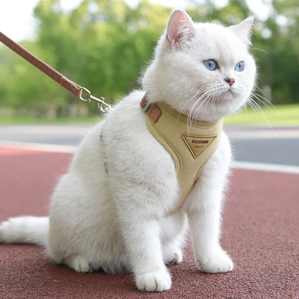 Pet Harness and Leash Set – Breathable & Durable for Small Dogs and Cats