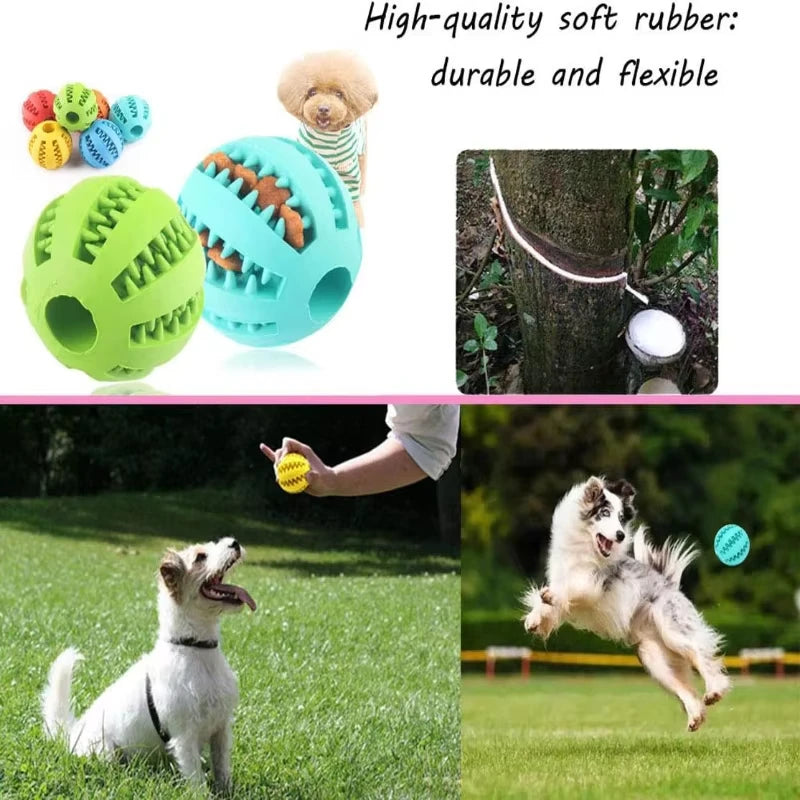 Dog Toy Ball Interactive Rubber Balls Puppy Chewing Toys Tooth Cleaning Cats Pets Food Treat Feeder Silicone Balls Pet Supplies