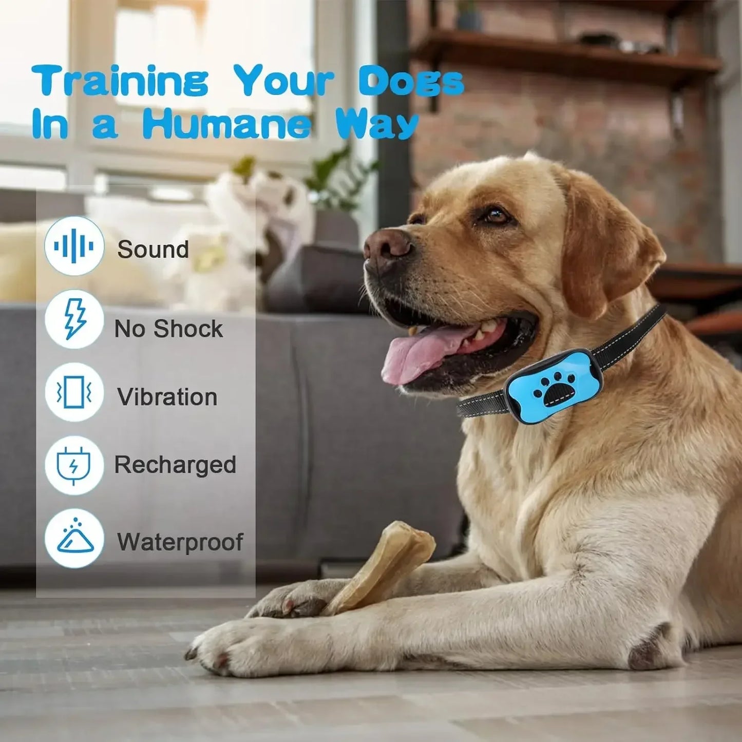 Rechargeable Dog Anti-Bark Collar with Beep & Vibration – Whisker House
