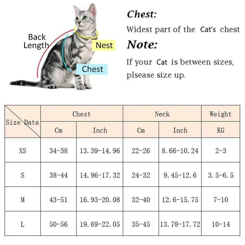 Pet Harness and Leash Set – Breathable & Durable for Small Dogs and Cats