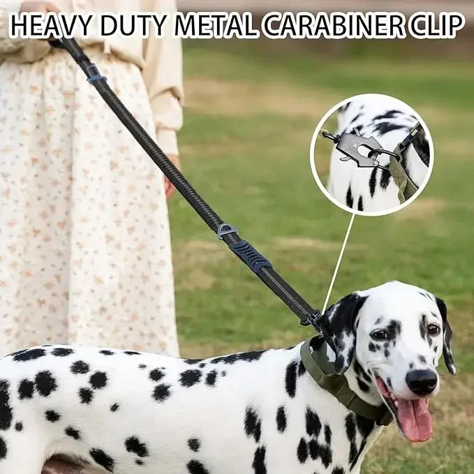 Reflective Bungee Dog Leash with Car Seatbelt – No Pull, Heavy Duty