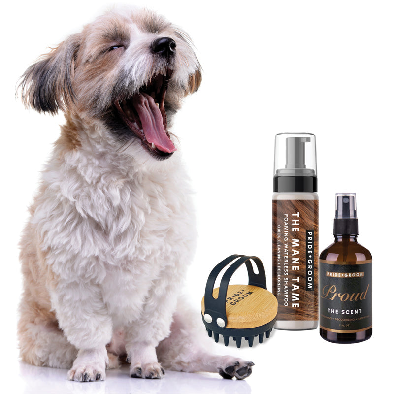 THE TOOL KIT three-piece grooming set laid out