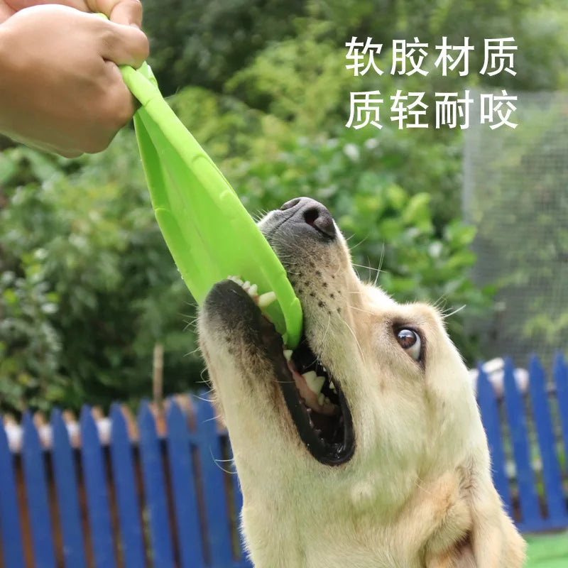 Bite Resistant Flying Disc Dog Toy – Outdoor Training & Play