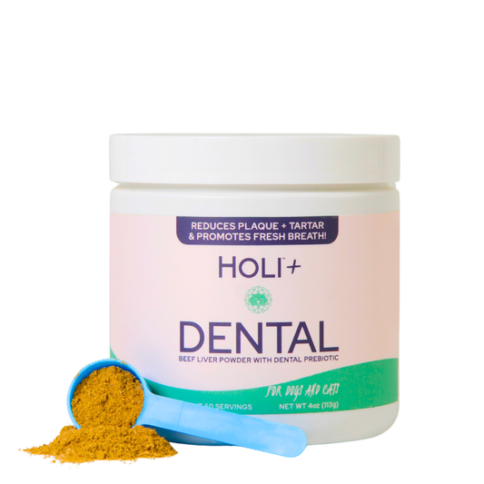 HOLI+ Dental powder container with scoop on a white background