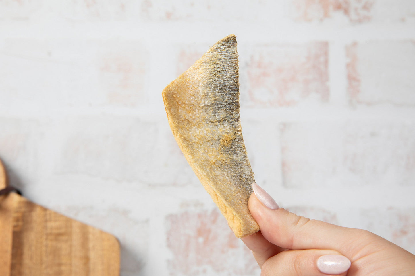 Hand holding a dried fish fillet on a light background