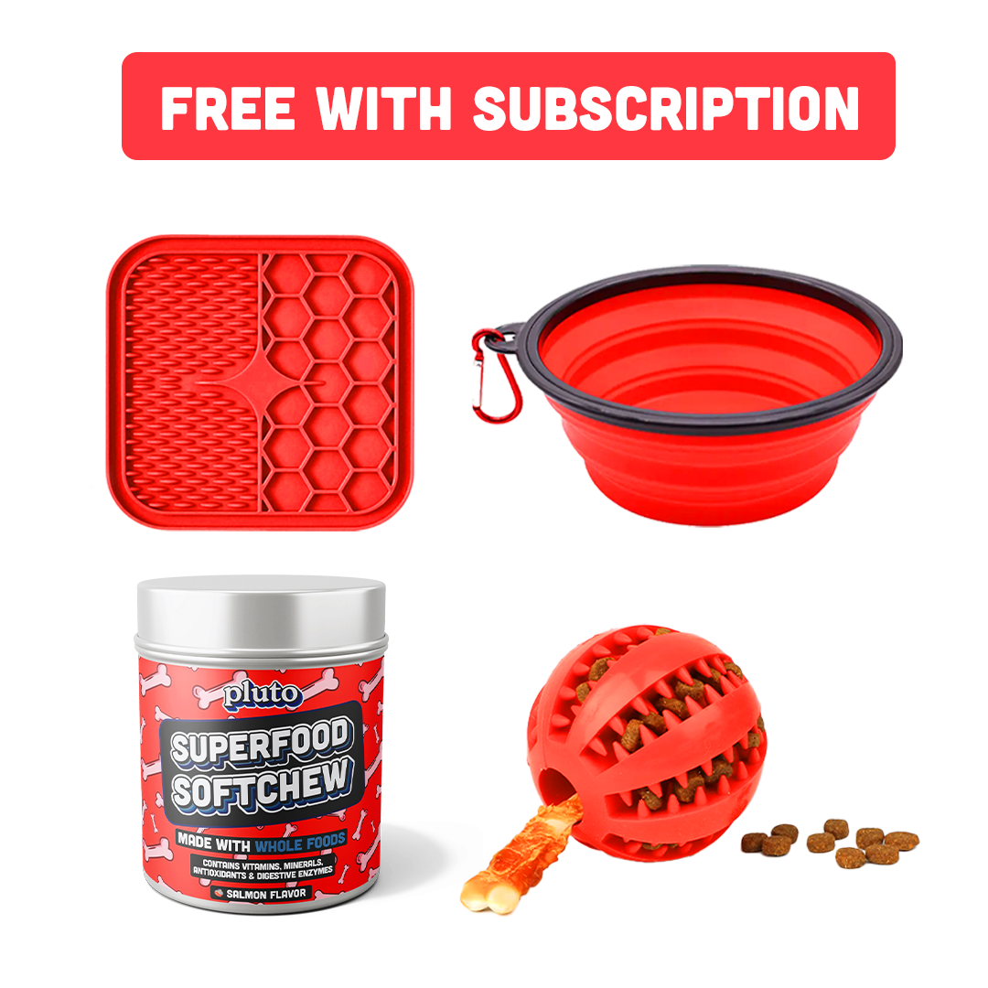 Pluto Superfood Softchew welcome pack contents