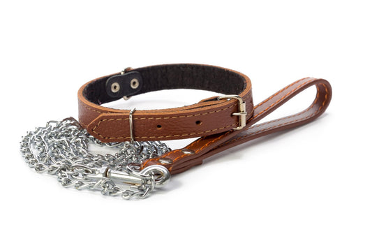 A dog collar and leash on white background.