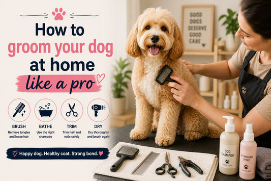 Happy dog being groomed at home with a brush, dog shampoo, and grooming tools during a DIY grooming session.