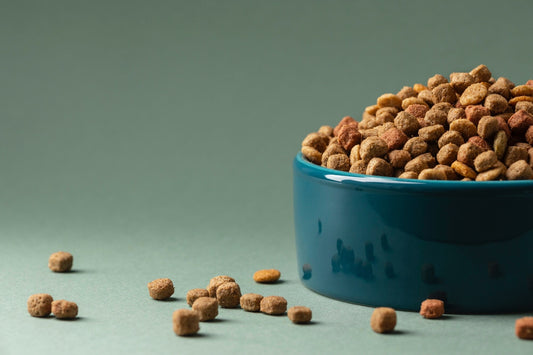 Blue bowl filled with pet food on a green background