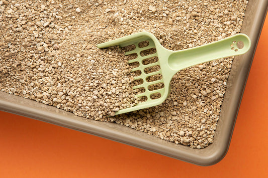 Cat litter with a shovel in it