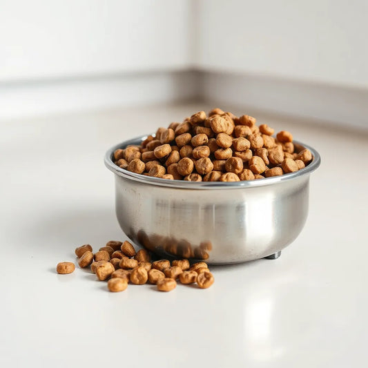 Stainless bowl of dry dog food with a few kibble pieces on a clean floor