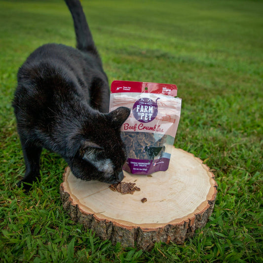 a cat eating treats