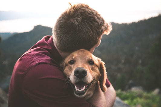 Man affectionately hugging his tan dog outdoors