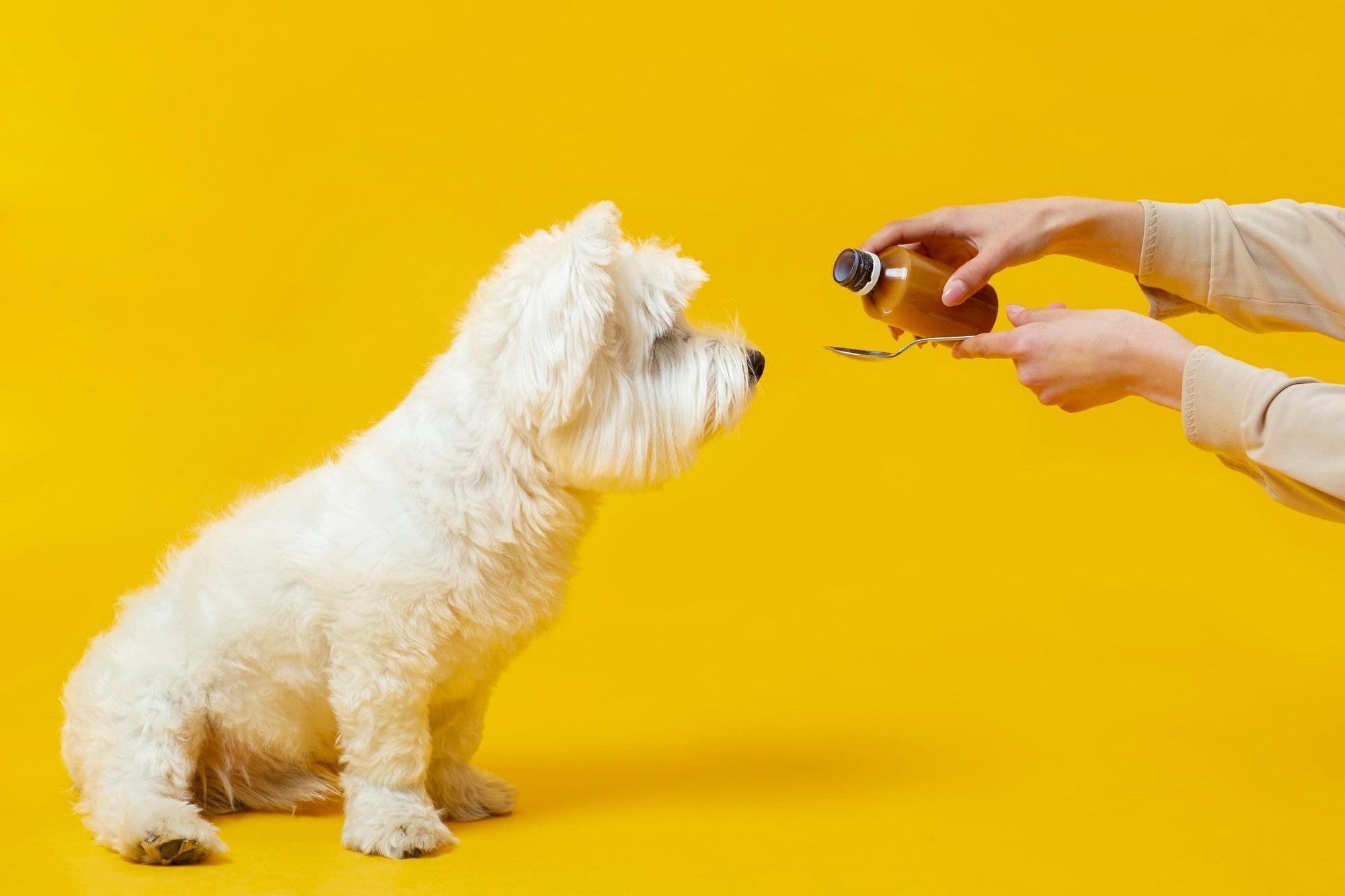 A dog taking supplements