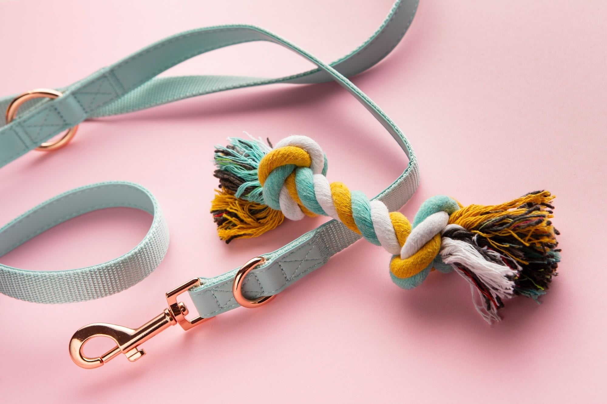 A Dog leash with pink background 