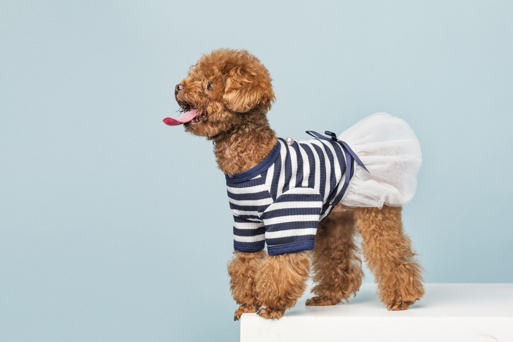 Pet Apparel & Clothing