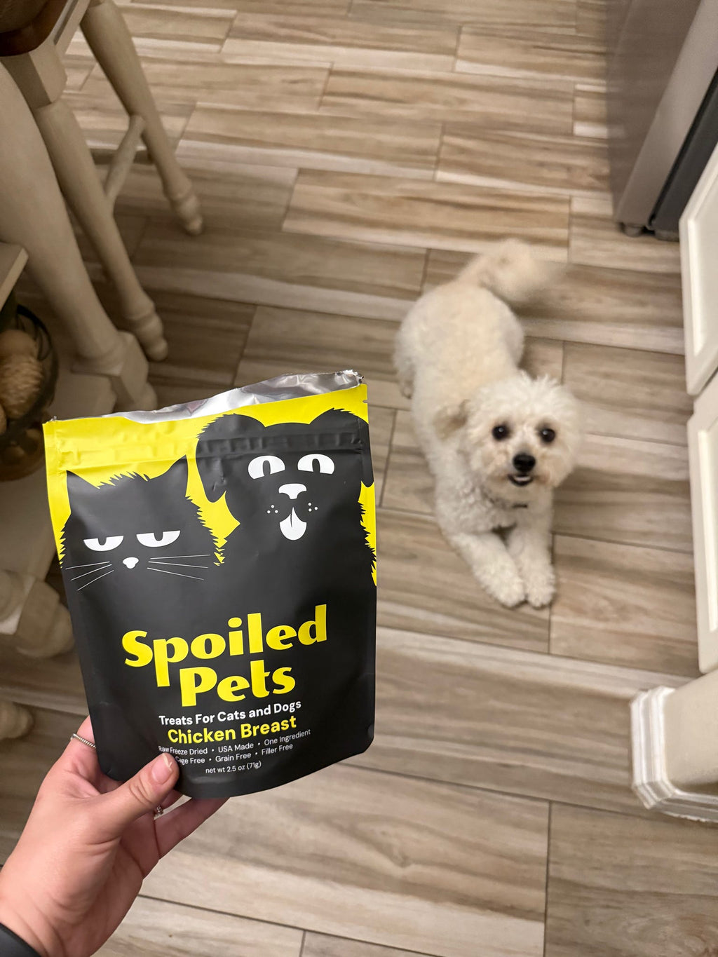 Person holding a 'Spoiled Pets' treat package with a small white dog in the background.