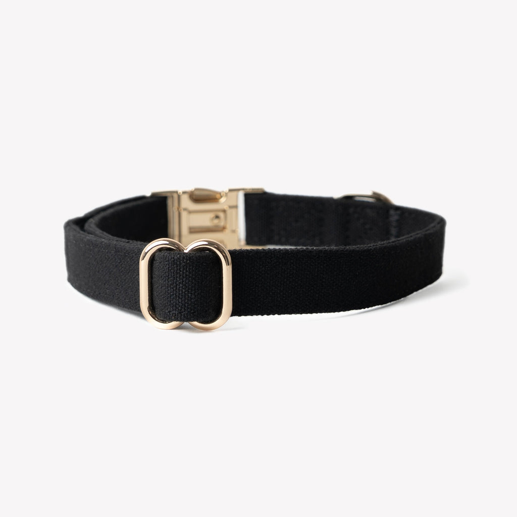 Black dog collar with a gold buckle on a white background