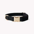 Black dog collar with gold buckle on a white background