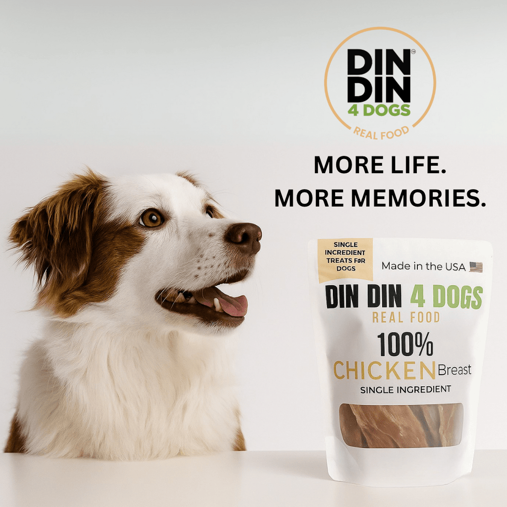 Dog next to a package of DIN DIN 4 DOGS real food with text 'More life. More memories.'