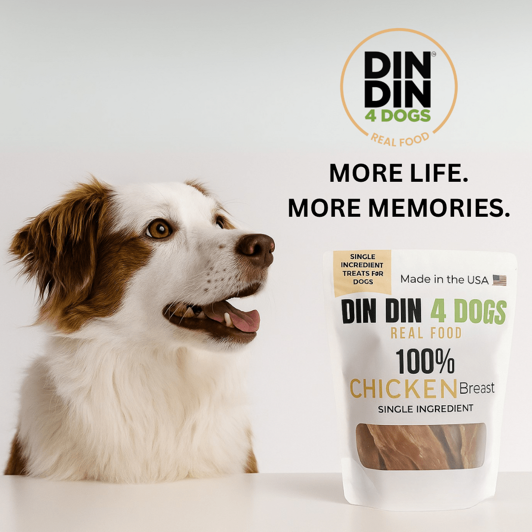 Dog next to a package of DIN DIN 4 DOGS real food with text 'More life. More memories.'