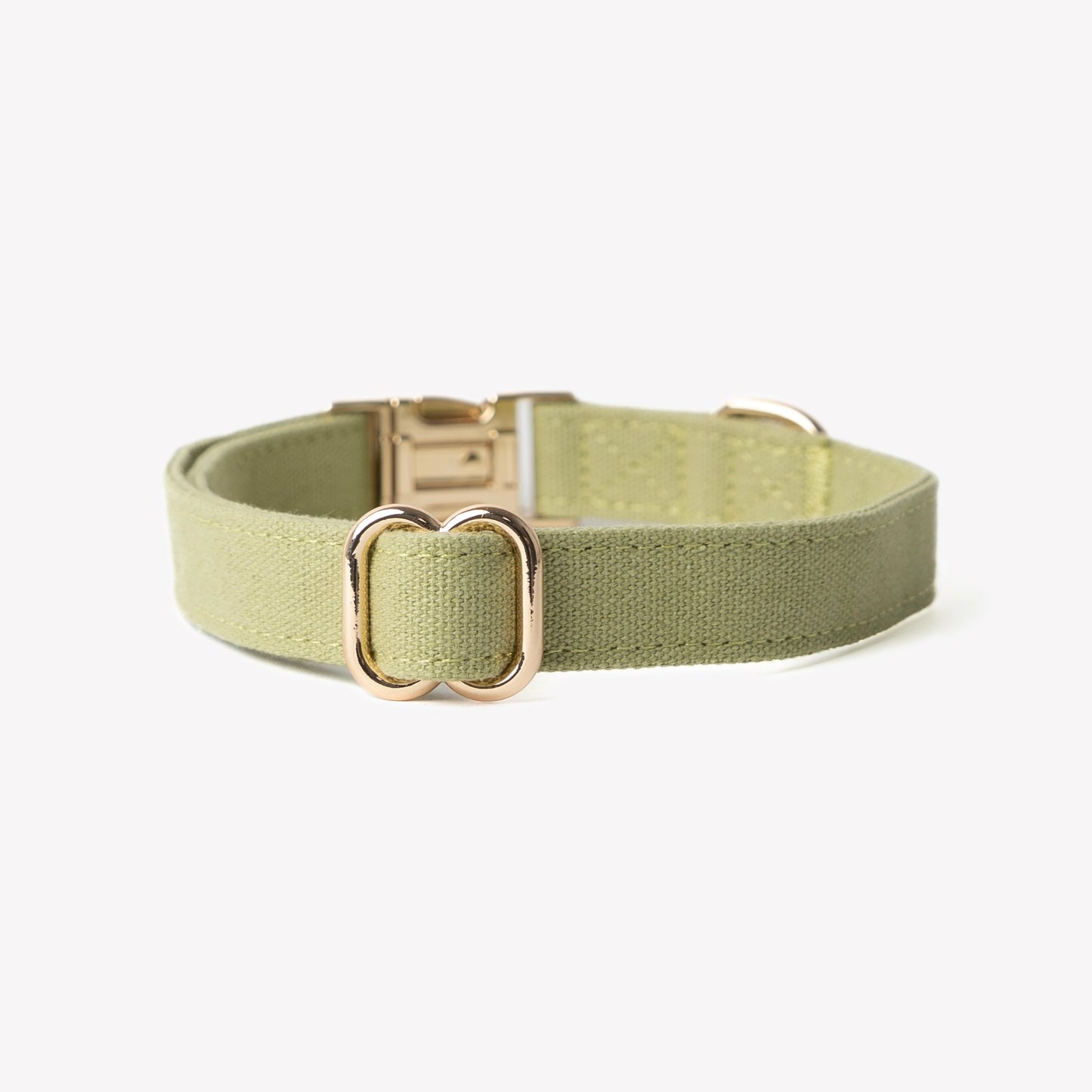 FURLOU Green Canvas Dog Collar worn by a dog, view 2