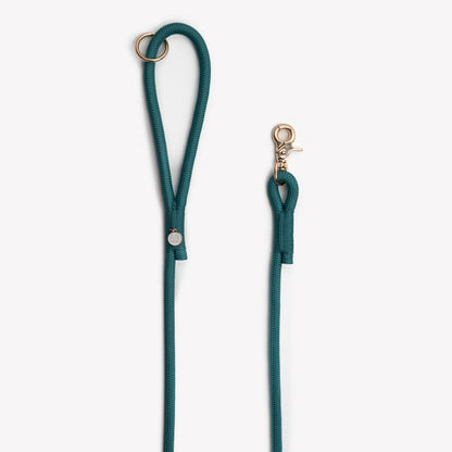 FURLOU Blue Braided Rope Leash worn by a dog, view 2