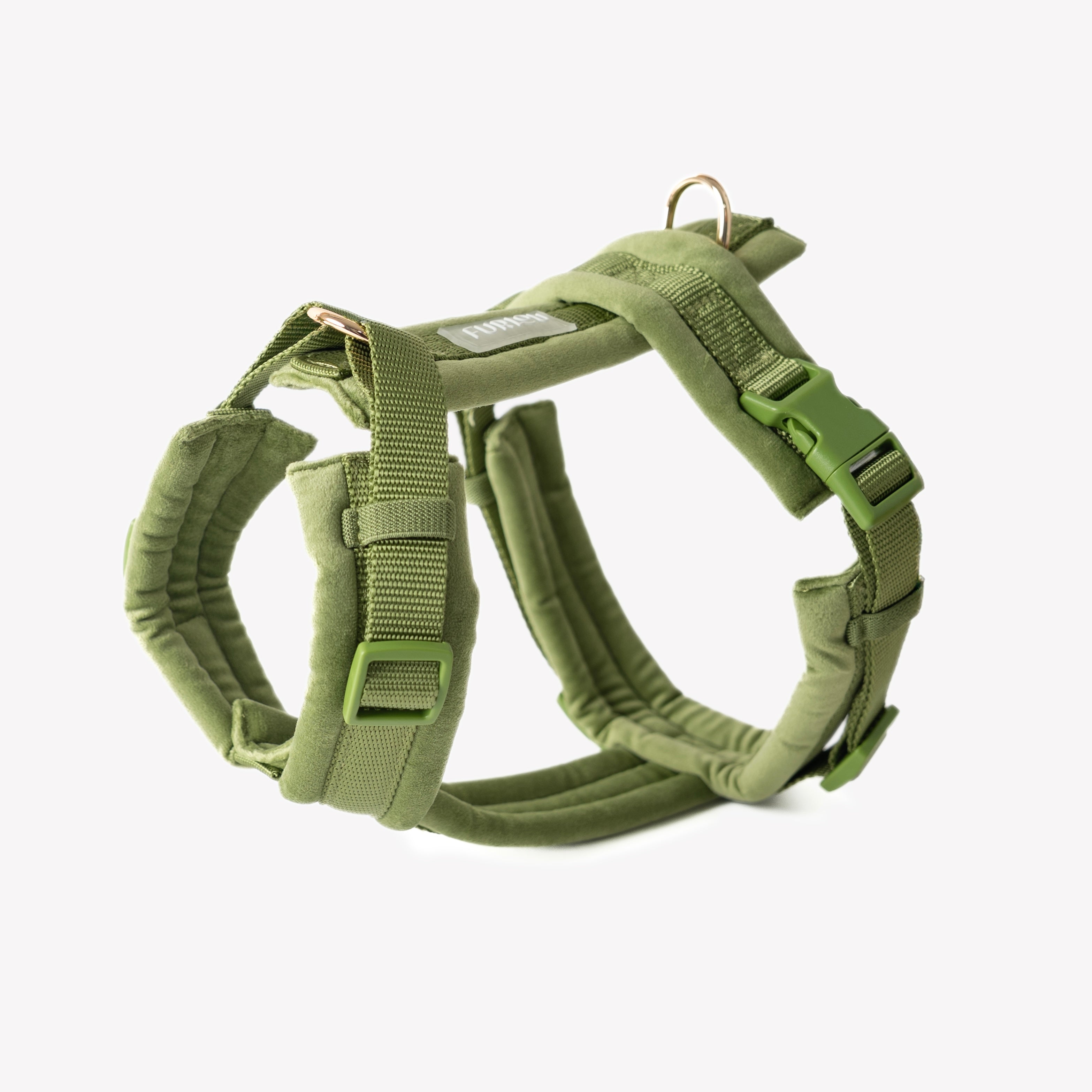 Green dog harness on a white background