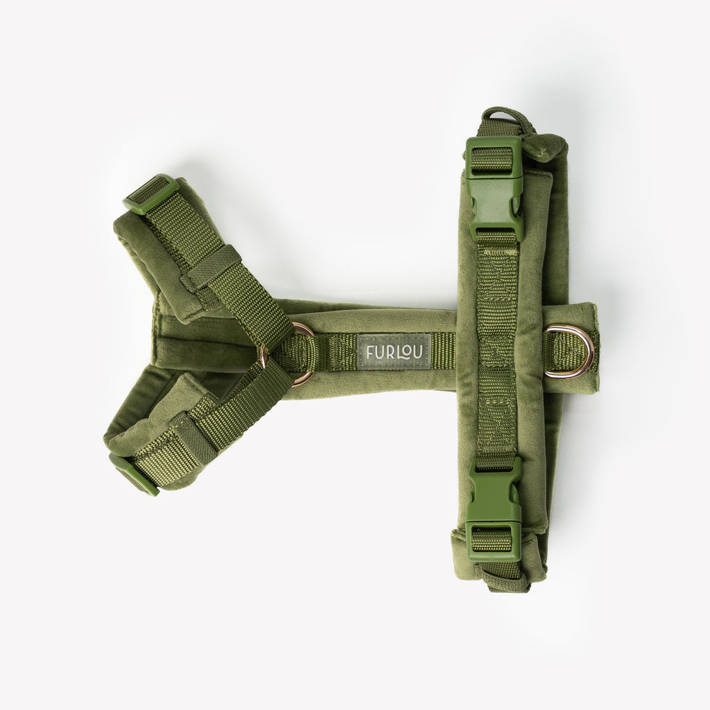 Green dog harness with visible brand logo on a white background