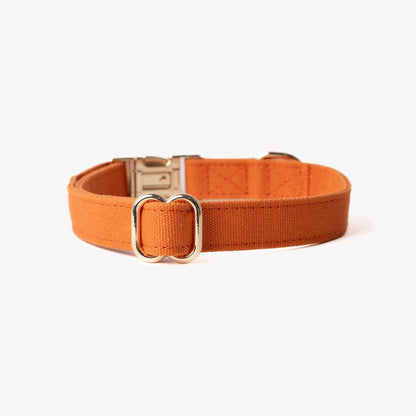 FURLOU Terracotta Canvas Dog Collar worn by a dog, view 2