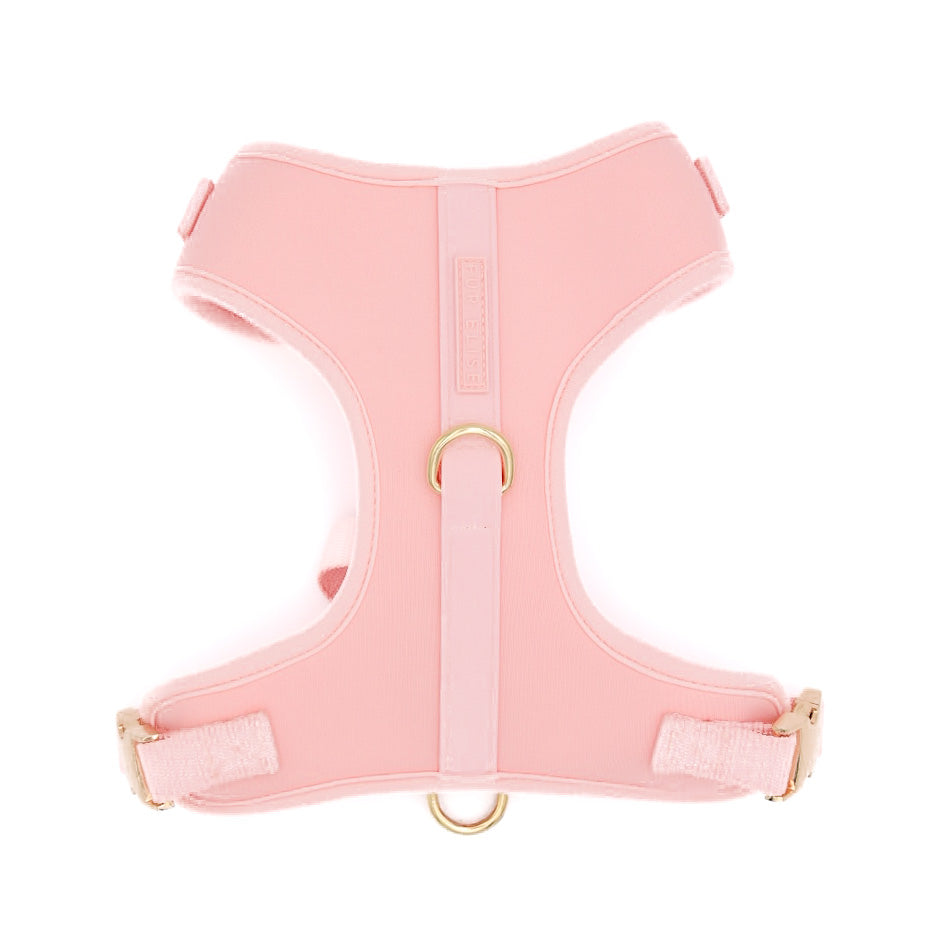 Pink dog harness on a white background