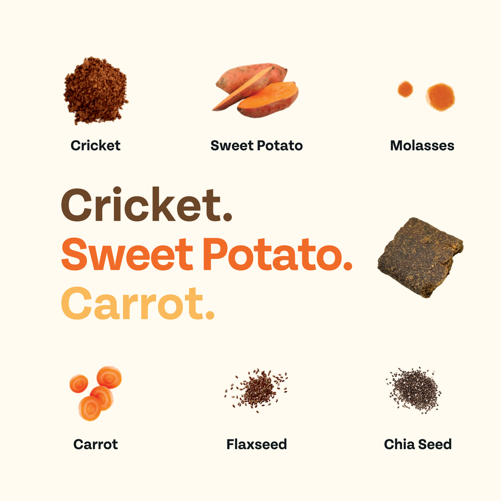 Ingredients including cricket, sweet potato, molasses, carrot, flaxseed, and chia seed on a white background.