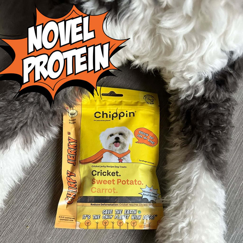 Yellow package of Chippin dog treats with a dog on the label, surrounded by a fluffy white and gray dog.