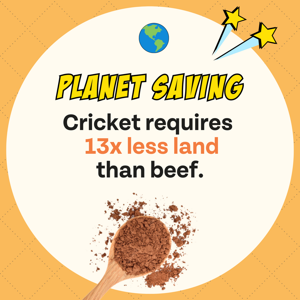 Spoon with cricket powder and text about cricket being a more planet-friendly option than beef.