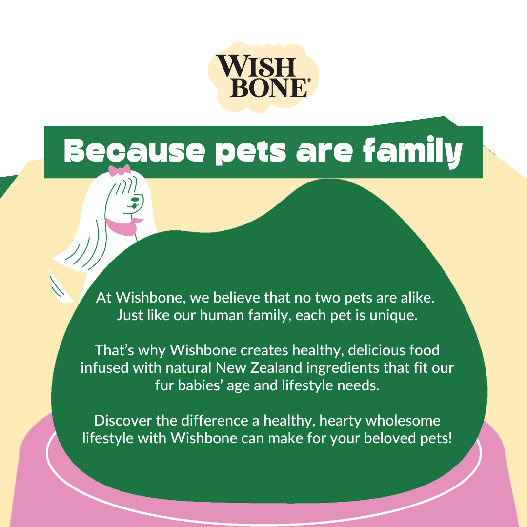 Wishbone pet food advertisement with a green speech bubble and dog illustration on a beige background.