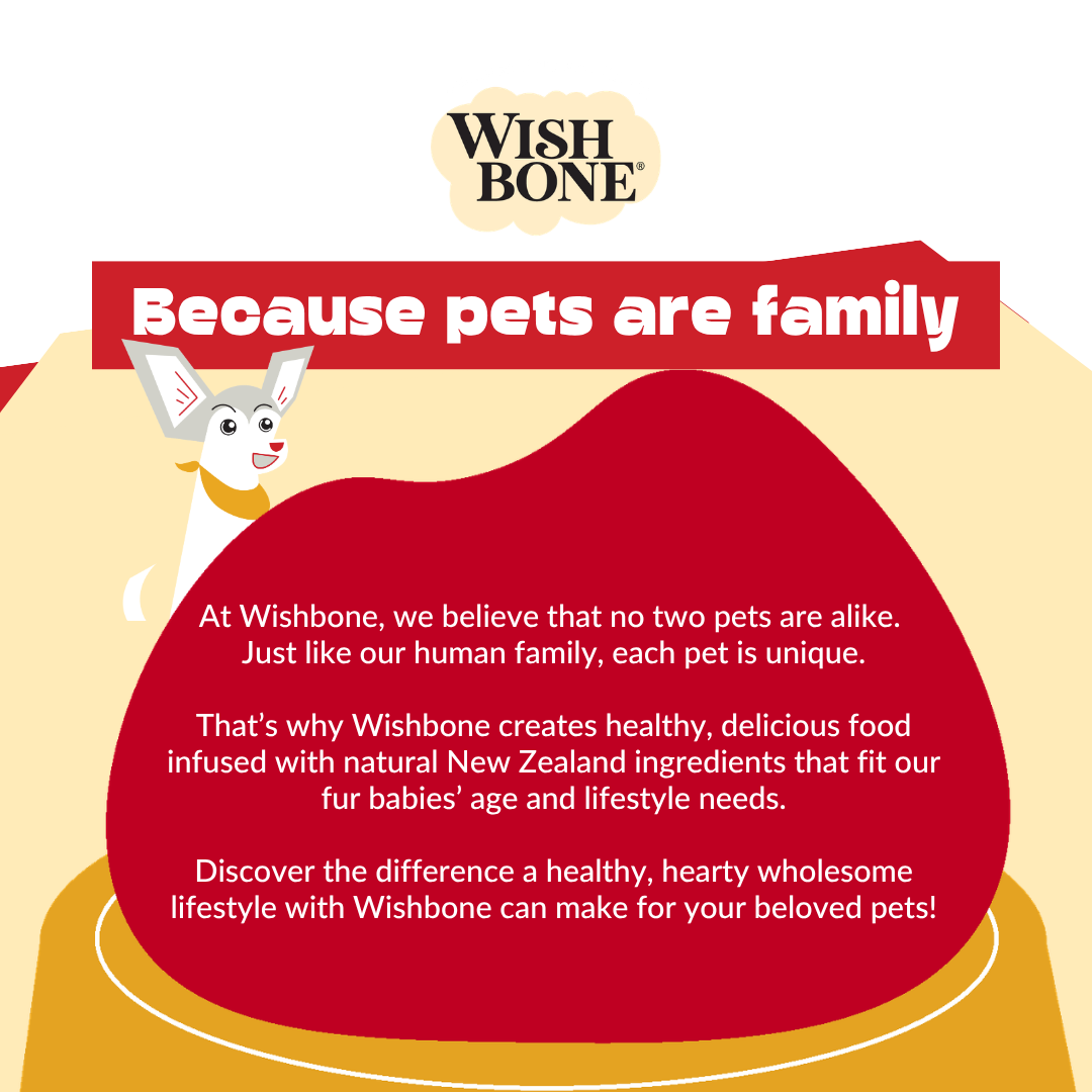 Wishbone pet food advertisement with a cartoon dog and text about pets being family.
