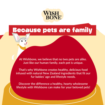 Wishbone pet food advertisement with a cartoon dog and text about pets being family.