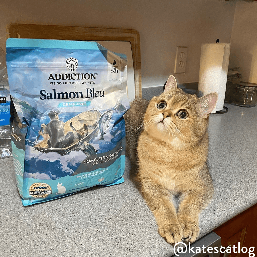 Salmon Bleu Dry Cat Food package, product photo 15 of 23