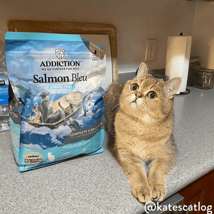 Salmon Bleu Dry Cat Food package, product photo 15 of 23